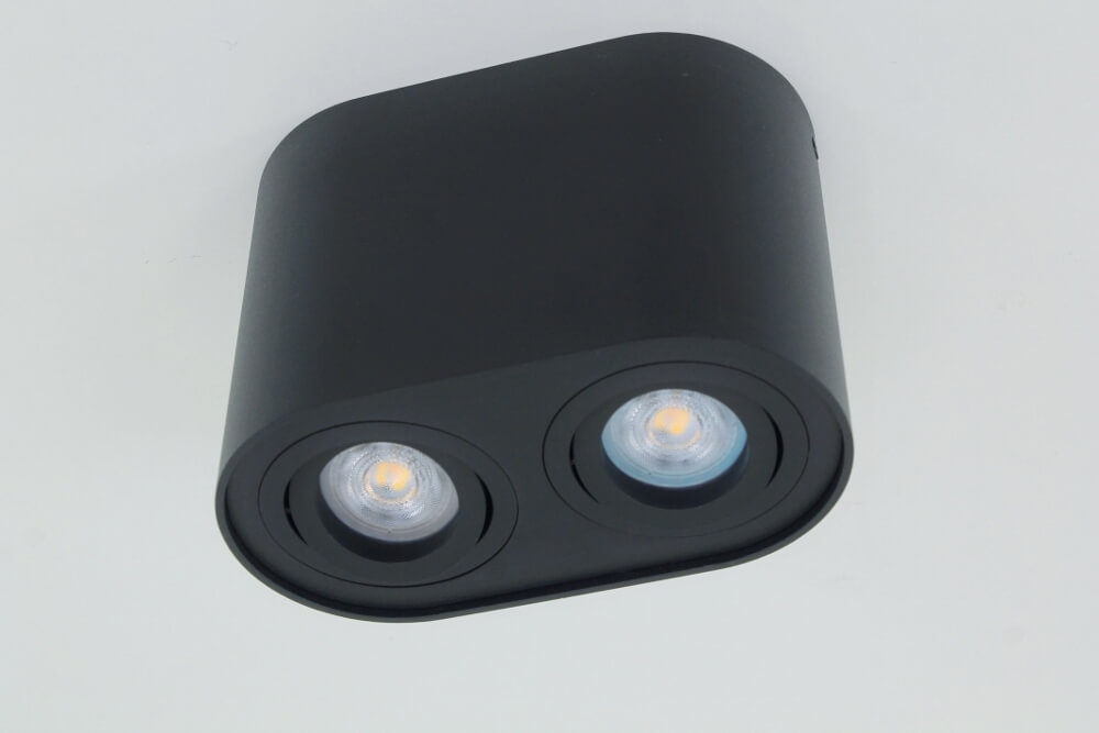 Kantelbare plafondlamp / Opbouwspot BOX ROUND | Zwart 2-lichts