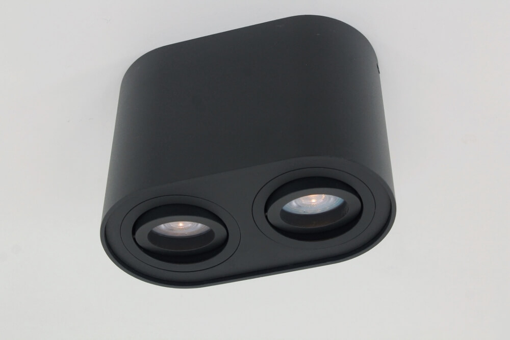 Kantelbare plafondlamp / Opbouwspot BOX ROUND | Zwart 2-lichts
