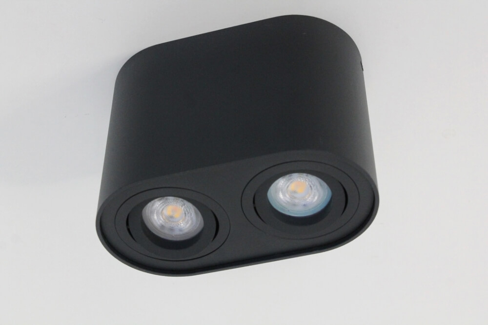 Kantelbare plafondlamp / Opbouwspot BOX ROUND | Zwart 2-lichts