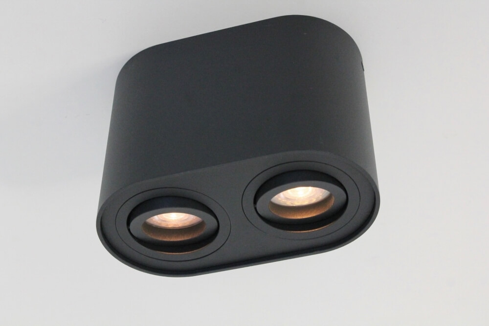 Kantelbare plafondlamp / Opbouwspot BOX ROUND | Zwart 2-lichts