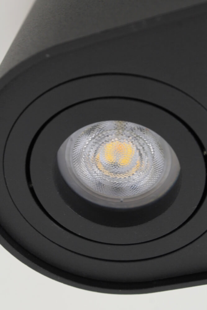 Kantelbare plafondlamp / Opbouwspot BOX ROUND | Zwart 2-lichts