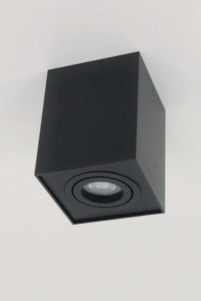Kantelbare plafondlamp / Opbouwspot BOX SQUARE | Zwart 1-lichts
