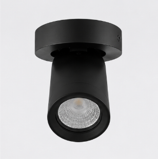 Strakke opbouwspot LEXI 1L IP44 | Zwart