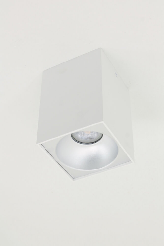 Plafondlamp / Opbouwspot ZUMA DEEP 1-lichts vierkant | Wit / Zilver