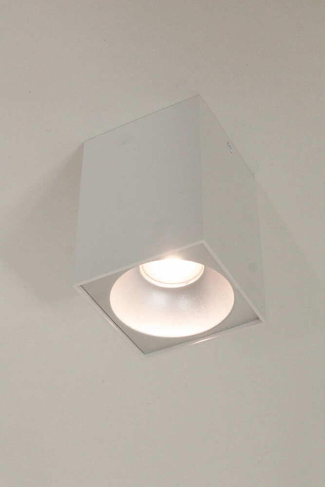 Plafondlamp / Opbouwspot ZUMA DEEP 1-lichts vierkant | Wit / Zilver