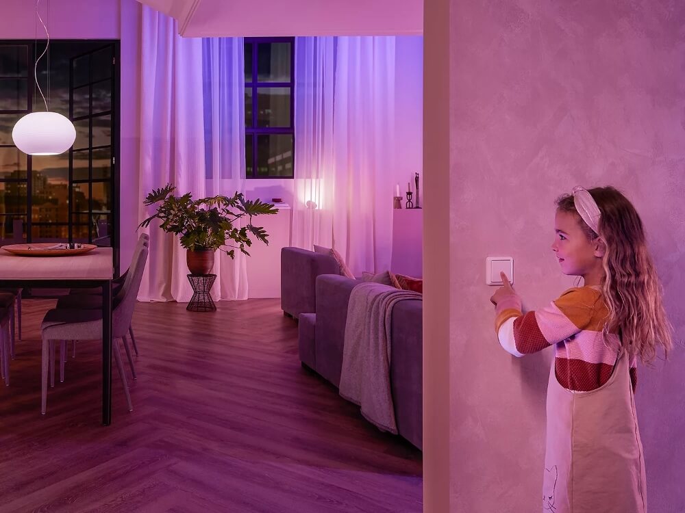 Philips Hue Wall Switch Duopack | Wandschakelaarmodule