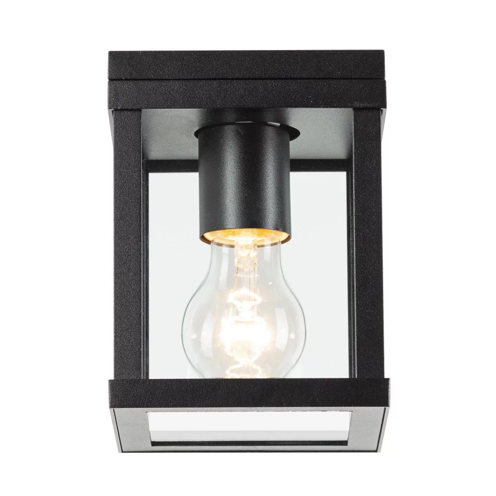 Buitenlamp plafondlamp HAMBRIDGE | zwart