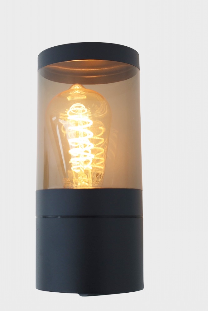 Mat zwarte buitenlamp AUSTIN met smoke kap | Wand