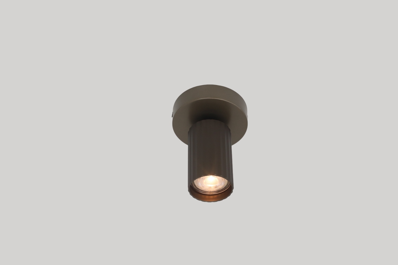 Stijlvolle opbouwspot ANNA 1-lichts | Brons