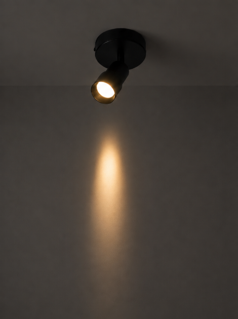 Functionele opbouwspot LIAM 3-standen | Zwart