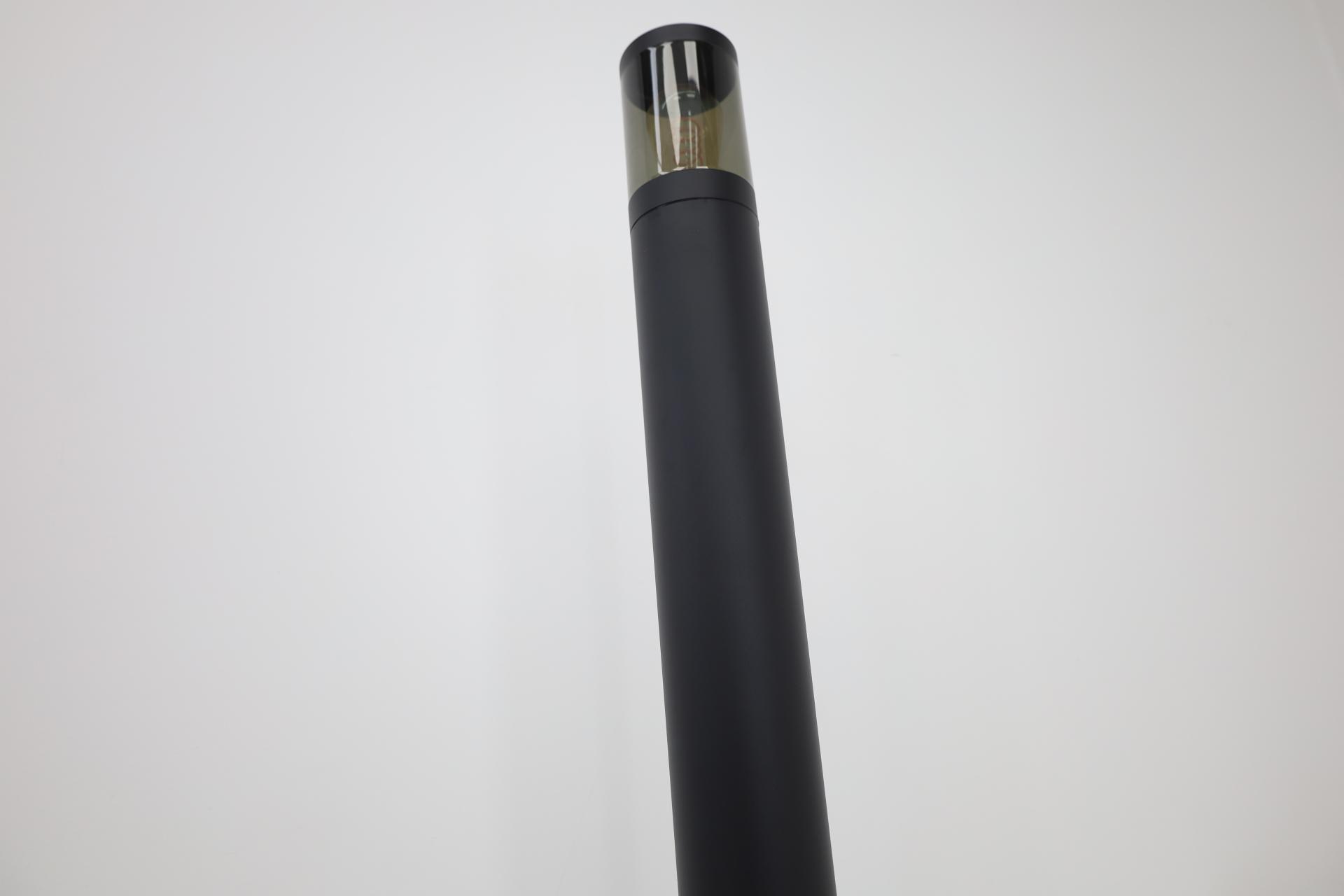 Mat zwarte buitenlamp AUSTIN met smoke kap | Paal 80 cm