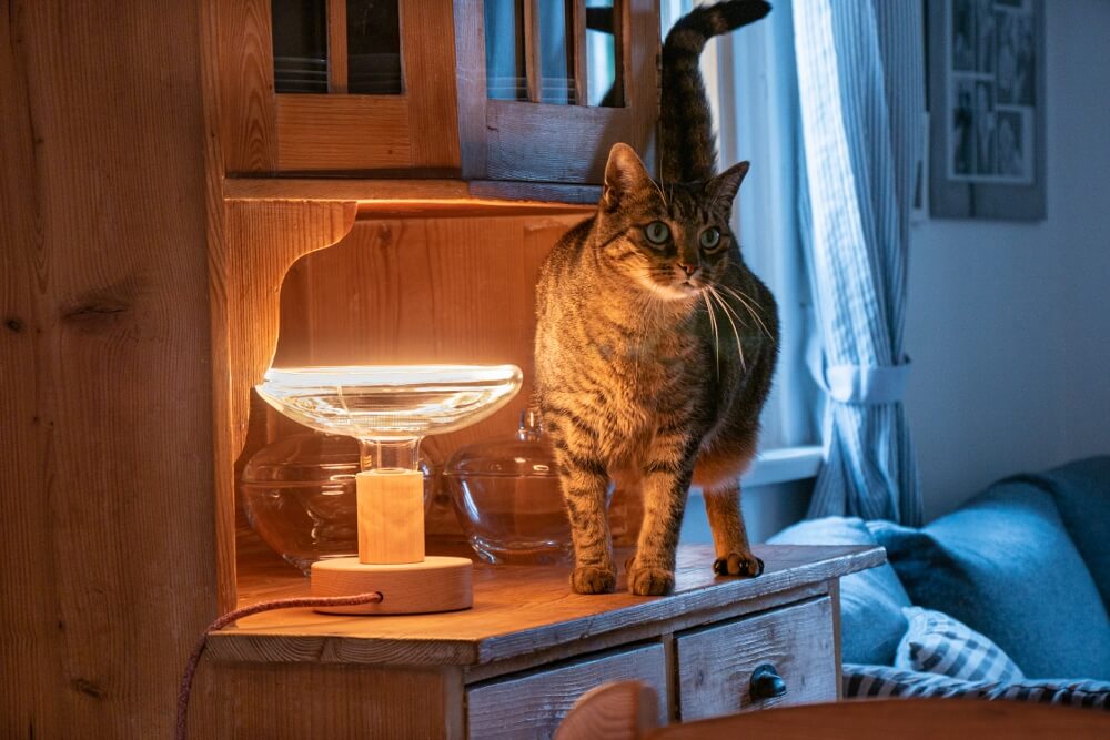Segula Floating LED lamp E27 | Reflector 200 mm | Smoke